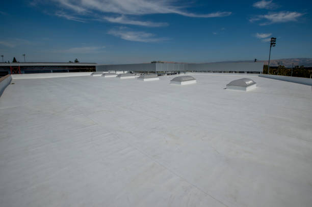 Best Emergency Roof Repair  in Lyford, TX