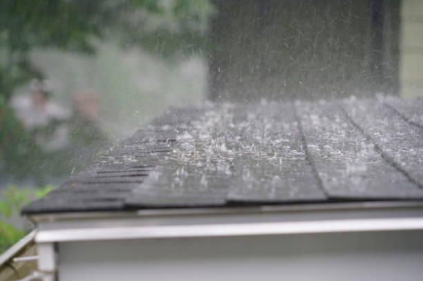 Best Storm Damage Roof Repair  in Lyford, TX