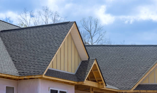 Best 4 Ply Roofing  in Lyford, TX