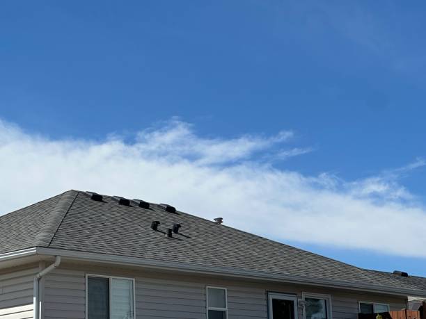 Roof Coating Services in Lyford, TX